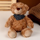 Мягкая игрушка «Медведь», с шарфиком, 28 см, цвет коричневый - фото 108915154