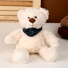 Мягкая игрушка «Медведь», с шарфиком, 28 см, цвет бежевый - фото 320154460