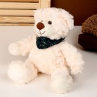 Мягкая игрушка «Медведь», с шарфиком, 28 см, цвет бежевый 9483089