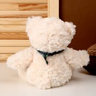 Мягкая игрушка «Медведь», с шарфиком, 28 см, цвет бежевый 9483089