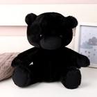 Мягкая игрушка «Мишка», 25 см, цвет чёрный - фото 10481055