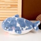 Мягкая игрушка «Акула», 32 см, цвет синий - Фото 2