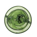 Садок Namazu, 33 х 50 см, капрон - фото 24247204