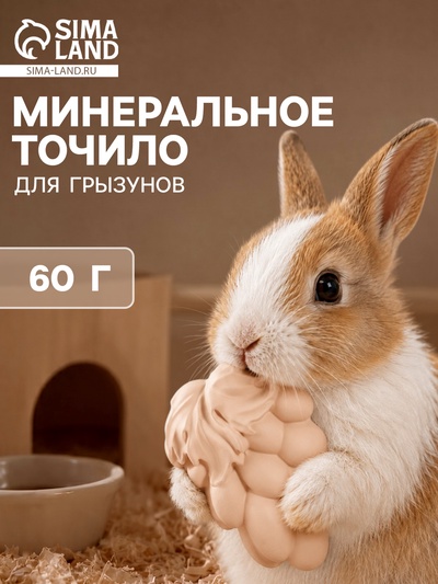 Минеральное точило для грызунов, 60 г