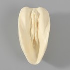 Молд силиконовый "Шалунья" 8х3.5х3 см - фото 28484779