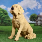 Садовая фигура "Собака лабрадор" 47х30х47см - Фото 1