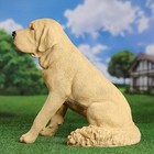 Садовая фигура "Собака лабрадор" 47х30х47см - Фото 2