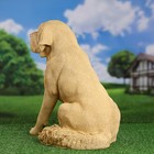 Садовая фигура "Собака лабрадор" 47х30х47см - Фото 3