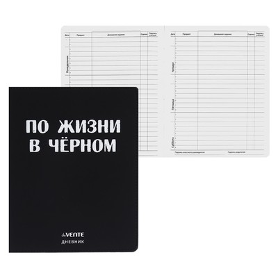 Дневник школьный для 1-11 классов «По жизни в чёрном», интегральная обложка, искусственная кожа, шелкография, ляссе, 80 г/м²