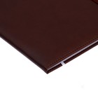 Дневник универсальный для 1-11 класса Dark brown, твёрдая обложка, искусственная кожа, с поролоном, ляссе, 80 г/м2 - Фото 4