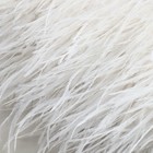 Тесьма с перьями страуса, 8-10 см, 5 ± 0,5 м, цвет белый - фото 7808425