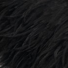 Тесьма с перьями страуса, 8-10 см, 5 ± 0,5 м, цвет чёрный - Фото 2