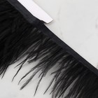Тесьма с перьями страуса, 8-10 см, 5 ± 0,5 м, цвет чёрный - Фото 3