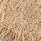 Тесьма с перьями страуса, 8-10 см, 5 ± 0,5 м, цвет слоновая кость - фото 7808433