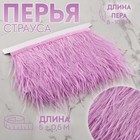 Тесьма с перьями страуса, 8-10 см, 5±0.5 м, сиреневая - Фото 1