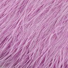 Тесьма с перьями страуса, 8-10 см, 5±0.5 м, сиреневая - Фото 2