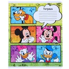 Тетрадь в линейку 24 листа, 5 видов МИКС, обложка мелованная бумага, «Минни Маус» - Фото 11