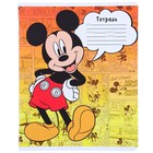 Тетрадь в линейку 24 листа, 5 видов МИКС, обложка мелованная бумага, «Минни Маус» - Фото 7