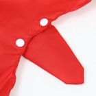 Комбинезон для собак, демисезонный с чехлами на лапы, размер XL (ДС 40, Ог 42), красный - Фото 7