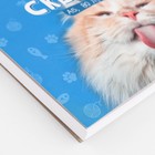 Скетчбук А5, 80 листов твердая обложка «Кот». - фото 10840338