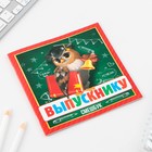 Блокнот-Смэшбук, 15×15 см, 16 л.«Выпускнику» - Фото 10