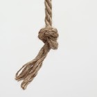 Домик для кошек с когтеточкой круглый, джут, 35 х 35 х 64 см, розовый - Фото 6