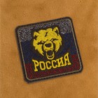 Шеврон на одежду «Россия», на липучке, 8×8 см - Фото 2