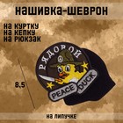 Шеврон на одежду PeaceDuck, на липучке, 8.5×8.5 см - Фото 1
