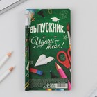 Подарочный набор на выпускной ручка шариковая 0.5 мм, значок «Выпускник ШКОЛЫ» - фото 6911772