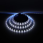 Светодиодная лента TruEnergy 5 м, IP20, SMD5054, 60 LED/м, 14.4 Вт/м, 12 В, 6000К 9610284 - фото 10486541