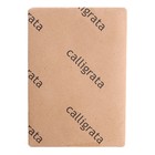 Задник для фоторамок и рам 13 х 18 см, кратон 0.9 мм, набор 5 штук - фото 24551040