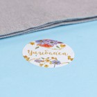 Наклейки для цветов и подарков «Мечтай, сияй», 4.4×4.4 см, набор 252 шт. - Фото 5