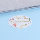 Наклейки для цветов и подарков «Мечтай, сияй», 4.4×4.4 см, набор 252 шт. - Фото 9