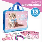 Подарочный набор школьника «Котик», 13 предметов - фото 319462564