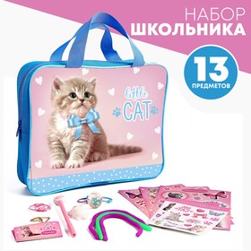 Подарочный набор школьника «Котик», 13 предметов 9313653