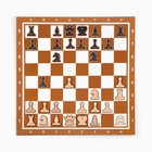 Демонстрационные шахматы 40 х 40 см "Время игры" на магнитной доске, 32 шт, коричневые - фото 50623927