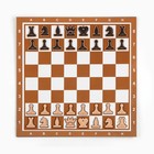 Демонстрационные шахматы 40 х 40 см "Время игры" на магнитной доске, 32 шт, коричневые - фото 8175090