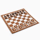 Демонстрационные шахматы 40 х 40 см "Время игры" на магнитной доске, 32 шт, коричневые - фото 3605176
