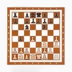 Демонстрационные шахматы 60 х 60 см "Время игры" на магнитной доске, 32 шт, коричневые - фото 25417157