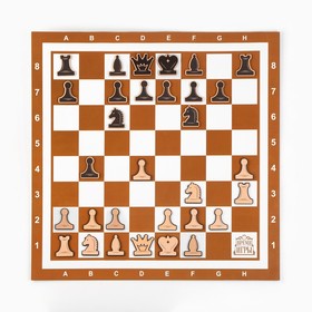 Демонстрационные шахматы 60 х 60 см 
