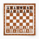 Демонстрационные шахматы 60 х 60 см "Время игры" на магнитной доске, 32 шт, коричневые - фото 9470077