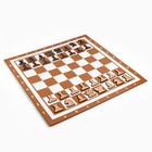Демонстрационные шахматы 60 х 60 см "Время игры" на магнитной доске, 32 шт, коричневые - фото 9470078