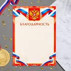 Благодарность "Символика РФ" красная рамка, бумага, А4 - фото 10488952