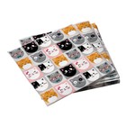 Салфетки бумажные трёхслойные «Кошки с ушками», 33 × 33 см, 20 шт - фото 10489129