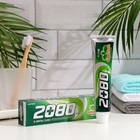 Зубная паста Dental Clinic 2080 Зеленый чай, 120г - фото 19756028