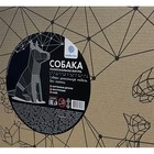 Конструктор «Полигональная фигура. Собака» 9622354 - фото 16186661