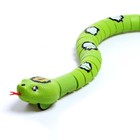 Змея радиоуправляемая «Джунгли», работает от аккумулятора, цвета МИКС, уценка - фото 2666726