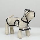 Дождевик для собак, размер XS (ДС 18, ОГ 25-30, ОШ 25 см), чёрный - Фото 1