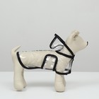 Дождевик для собак, размер XS (ДС 18, ОГ 25-30, ОШ 25 см), чёрный - Фото 3