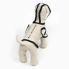 Дождевик для собак, размер XS (ДС 18, ОГ 25-30, ОШ 25 см), чёрный - Фото 4